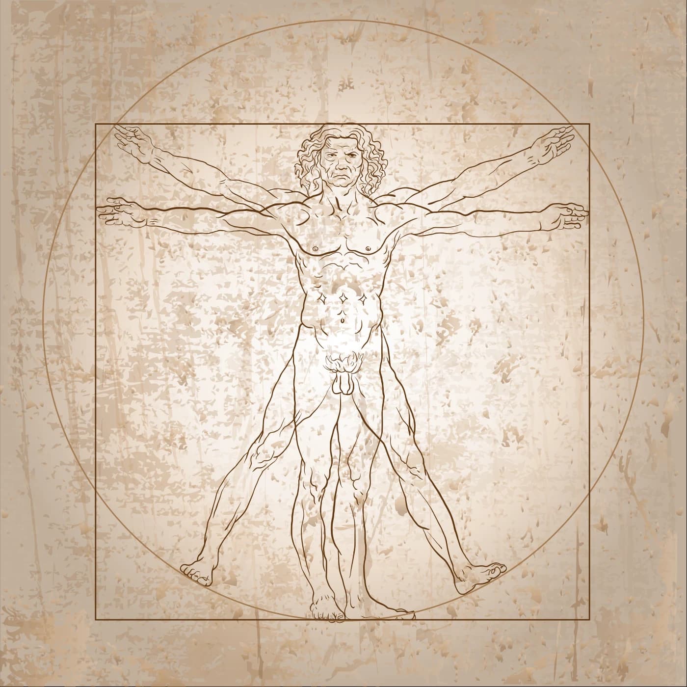 Leonardo da Vinci's Vitruvian Man